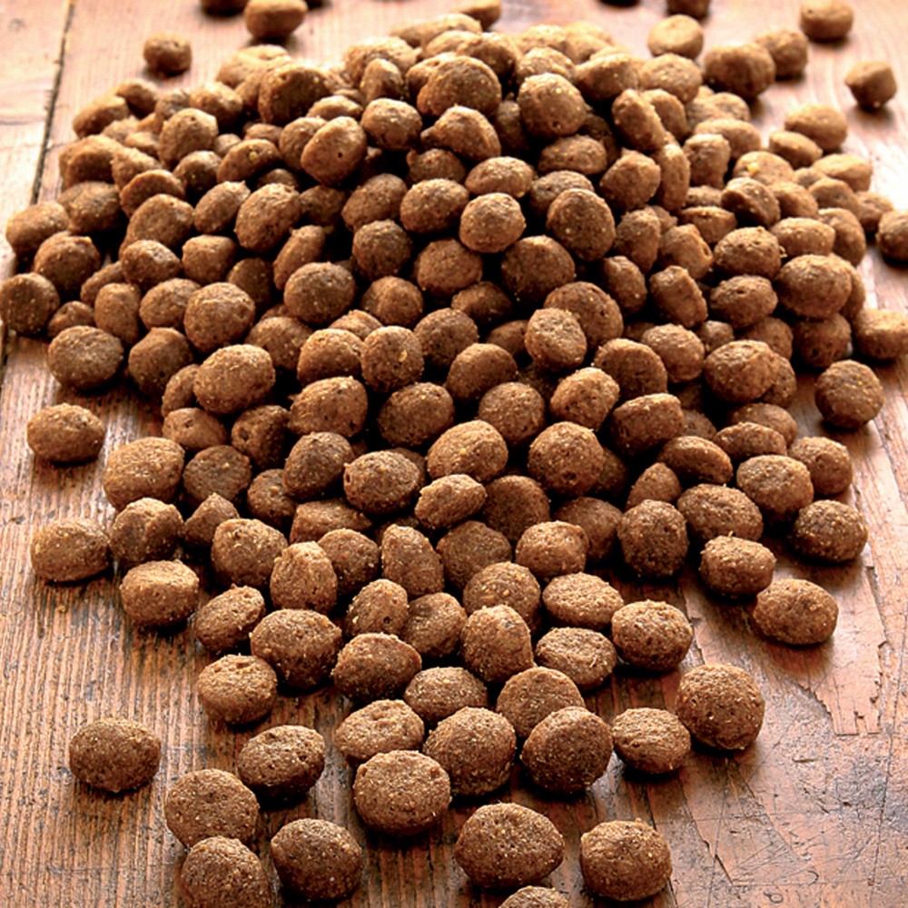 alsa-nature Senso Trockenfutter, 1,5 kg, Hundefutter trocken von alsa-nature
