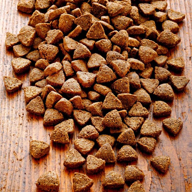 alsa-nature Strauß Single-Protein Trockenfutter, 6 kg, Hundefutter trocken von alsa-nature