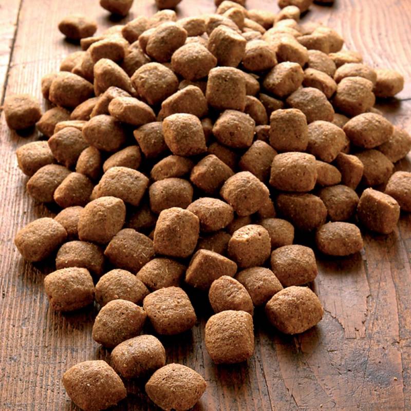 alsa-nature Vital Medial Protein Trockenfutter, 3 kg, Hundefutter trocken von alsa-nature