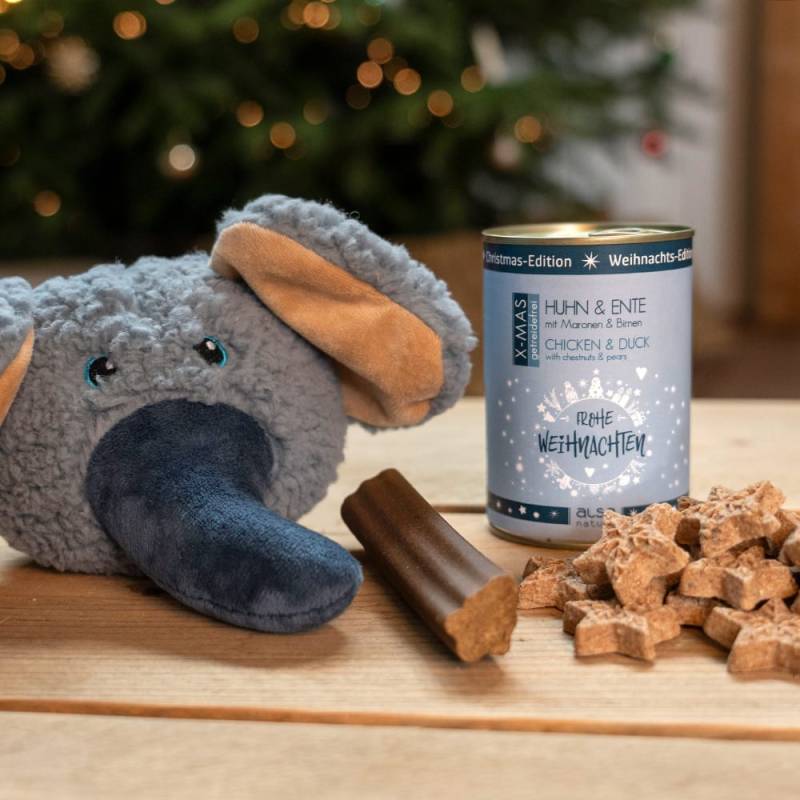 alsa-nature Weihnachts-Wundertüte von alsa-nature