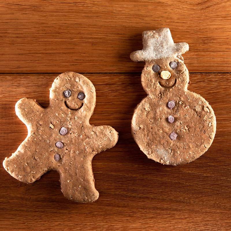 alsa-nature Weihnachtskeks Schneemann & Lebkuchenmann, 2 x 2 Stück, Länge: ca. 12 cm alsa-nature Weihnachtskeks Schneemann & Lebkuchenmann, 2 x 2 Stück, Länge: ca. 12 cm von alsa-nature