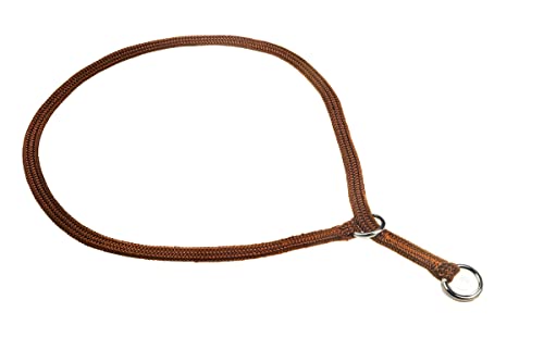 Show Slip Collar – Hundehalsband – perfekt für kleine Welpen bis große Hunde – Home Designer Hundehalsband für Hundeshows für beste Freunde Show Slip Collar – Hundehalsband – perfekt für kleine Welpen bis große Hunde – Home Designer Hundehalsband für Hundeshows für beste Freunde von alvalley