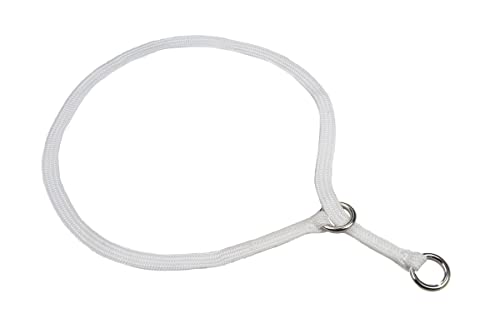Show Slip Collar – Hundehalsband – perfekt für kleine Welpen bis große Hunde – Home Designer Hundehalsband für Hundeshows für beste Freunde Show Slip Collar – Hundehalsband – perfekt für kleine Welpen bis große Hunde – Home Designer Hundehalsband für Hundeshows für beste Freunde von alvalley