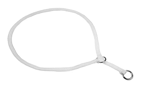 Show Slip Collar – Hundehalsband – perfekt für kleine Welpen bis große Hunde – Home Designer Hundehalsband für Hundeshows für beste Freunde Show Slip Collar – Hundehalsband – perfekt für kleine Welpen bis große Hunde – Home Designer Hundehalsband für Hundeshows für beste Freunde von alvalley