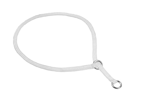 Show Slip Collar – Hundehalsband – perfekt für kleine Welpen bis große Hunde – Home Designer Hundehalsband für Hundeshows für beste Freunde Show Slip Collar – Hundehalsband – perfekt für kleine Welpen bis große Hunde – Home Designer Hundehalsband für Hundeshows für beste Freunde von alvalley