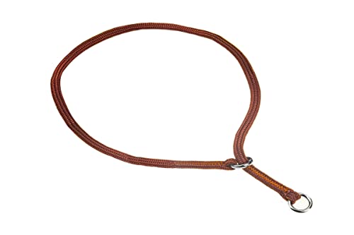 Show Slip Collar – Hundehalsband – perfekt für kleine Welpen bis große Hunde – Home Designer Hundehalsband für Hundeshows für beste Freunde Show Slip Collar – Hundehalsband – perfekt für kleine Welpen bis große Hunde – Home Designer Hundehalsband für Hundeshows für beste Freunde von alvalley