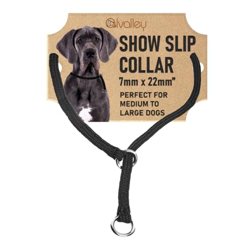 Show Slip Halsband – Konformations-Hundehalsband – flach geflochtenes Premium-Nylon – verchromte Hardware-Ringe – perfekt für kleine Welpen bis große Hunde – Designer-Hundehalsband für Hundeshows Show Slip Halsband – Konformations-Hundehalsband – flach geflochtenes Premium-Nylon – verchromte Hardware-Ringe – perfekt für kleine Welpen bis große Hunde – Designer-Hundehalsband für Hundeshows von alvalley