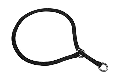 Show Slip Halsband – Konformations-Hundehalsband – flach geflochtenes Premium-Nylon – verchromte Hardware-Ringe – perfekt für kleine Welpen bis große Hunde – Designer-Hundehalsband für Hundeshows Show Slip Halsband – Konformations-Hundehalsband – flach geflochtenes Premium-Nylon – verchromte Hardware-Ringe – perfekt für kleine Welpen bis große Hunde – Designer-Hundehalsband für Hundeshows von alvalley