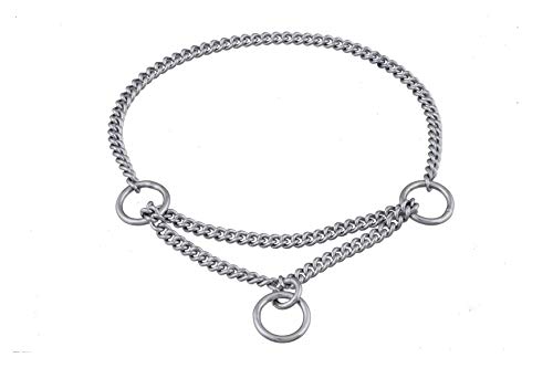 alvalley Martingal Kette Show Halsband für Hunde Stärke 1,2 mm x 16 in, Medium, Chrome Plate alvalley Martingal Kette Show Halsband für Hunde Stärke 1,2 mm x 16 in, Medium, Chrome Plate von alvalley