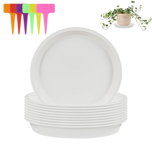 alwaiiz 10 Stück Untersetzer Blumentopf Rund, Kunststoff Topfuntersetzer Pflanzen und 6 Stück Pflanzenetiketten, Pflanzen Untersetzer für Innen- und Außenpflanzen alwaiiz 10 Stück Untersetzer Blumentopf Rund, Kunststoff Topfuntersetzer Pflanzen und 6 Stück Pflanzenetiketten, Pflanzen Untersetzer für Innen- und Außenpflanzen von alwaiiz