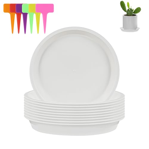alwaiiz 10 Stück Untersetzer Blumentopf Rund, Kunststoff Topfuntersetzer Pflanzen und 6 Stück Pflanzenetiketten, Pflanzen Untersetzer für Innen- und Außenpflanzen alwaiiz 10 Stück Untersetzer Blumentopf Rund, Kunststoff Topfuntersetzer Pflanzen und 6 Stück Pflanzenetiketten, Pflanzen Untersetzer für Innen- und Außenpflanzen von alwaiiz