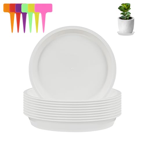 alwaiiz 10 Stück Untersetzer Blumentopf Rund, Kunststoff Topfuntersetzer Pflanzen und 6 Stück Pflanzenetiketten, Pflanzen Untersetzer für Innen- und Außenpflanzen alwaiiz 10 Stück Untersetzer Blumentopf Rund, Kunststoff Topfuntersetzer Pflanzen und 6 Stück Pflanzenetiketten, Pflanzen Untersetzer für Innen- und Außenpflanzen von alwaiiz