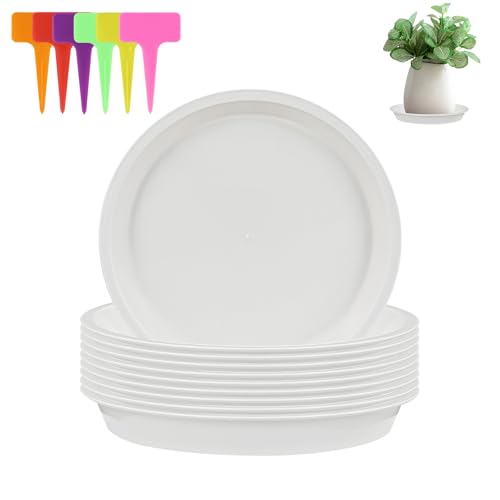 alwaiiz 10 Stück Untersetzer Blumentopf Rund, Kunststoff Topfuntersetzer Pflanzen und 6 Stück Pflanzenetiketten, Pflanzen Untersetzer für Innen- und Außenpflanzen von alwaiiz