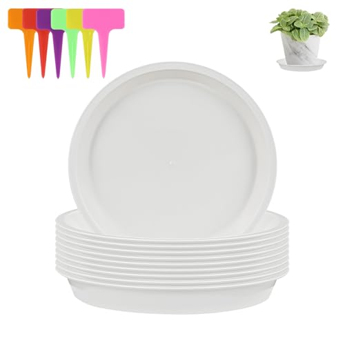 alwaiiz 10 Stück Untersetzer Blumentopf Rund, Kunststoff Topfuntersetzer Pflanzen und 6 Stück Pflanzenetiketten, Pflanzen Untersetzer für Innen- und Außenpflanzen alwaiiz 10 Stück Untersetzer Blumentopf Rund, Kunststoff Topfuntersetzer Pflanzen und 6 Stück Pflanzenetiketten, Pflanzen Untersetzer für Innen- und Außenpflanzen von alwaiiz