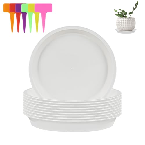alwaiiz 10 Stück Untersetzer Blumentopf Rund, Kunststoff Topfuntersetzer Pflanzen und 6 Stück Pflanzenetiketten, Pflanzen Untersetzer für Innen- und Außenpflanzen alwaiiz 10 Stück Untersetzer Blumentopf Rund, Kunststoff Topfuntersetzer Pflanzen und 6 Stück Pflanzenetiketten, Pflanzen Untersetzer für Innen- und Außenpflanzen von alwaiiz