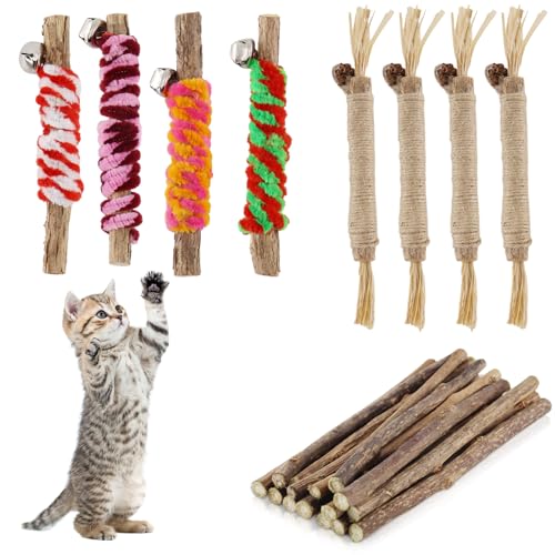 alwaiiz 23 Stück Katzenminze Stick, Matatabi Stick Katze, Katzen Zahnpflege Spielzeug, Steigerung des Appetits und Reinigung des Mundes alwaiiz 23 Stück Katzenminze Stick, Matatabi Stick Katze, Katzen Zahnpflege Spielzeug, Steigerung des Appetits und Reinigung des Mundes von alwaiiz