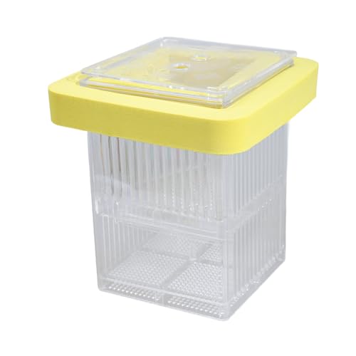 Bruttanks Für Aquarium Kleine Fisch Isolation Box Beilbox Für Fischbraten Klarer Laiche Acryl Doppelschichtbrüche Hatcher Bruttanks Für Aquarium Kleine Fisch Isolation Box Beilbox Für Fischbraten Klarer Laiche Acryl Doppelschichtbrüche Hatcher von amangul