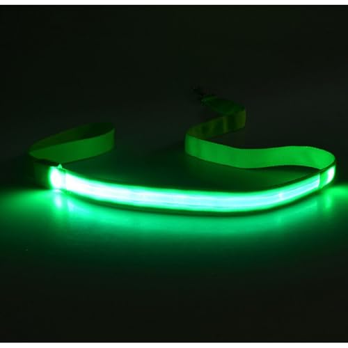 Set Von 4 LED Hundeleine Wiederaufladbare Wasserdicht Set Von 4 LED Hundeleine Wiederaufladbare Wasserdicht von amangul