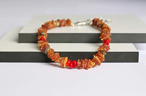 amber-us Bernsteinkette für Hunde aus Roh Baltischer Bernstein mit Rote Koralle verziert | Zeckenhalsband | Bernstein Gegen Zecken | Zecken und Flohschutz Halsband (45-50 cm) von amber us