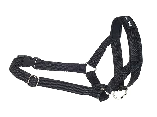 Hunde Ausbildungsgeschirr Basic XS/S/M/L/XL/XXL Amiplay (XXL (N6) Deutsche Dogger 26-50 [a] x56-75 [b] x2 cm, Schwarz) von Amiplay