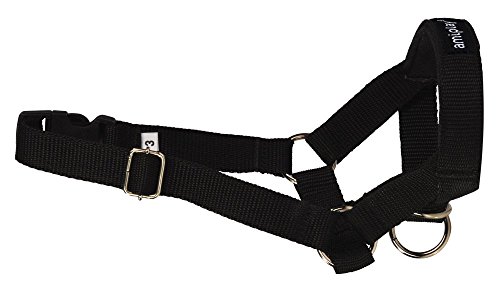amiplay Hunde-Maulgeschirr 'Basic' | Hundemaulkorb | Erziehungsgeschirr | Maulkorb | Maulband | Verschiedene Farben & Größen, Farbe:Schwarz, Größe:XS | 10-18 [a] x 19-25 [b] x 1.5 cm von amiplay