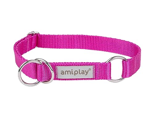 Amiplay Samba - Hunde Schlupfhalsband Halsband für mittelgroße und große Hunde. Hergestellt aus den hochwertigsten Materialien, langlebig, mit stufenloser Verstellmöglichkeit. von Amiplay