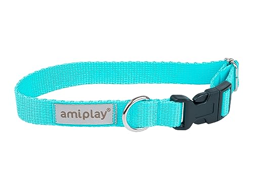 Amiplay Verstellbares Hundehalsband Samba - Robustes, Langlebiges Halsband für Kleine, Mittelgroße und Große Hunde, Stufenlos Verstellbar, Ideal für den Täglichen Spaziergang und Lange Wanderungen von Amiplay