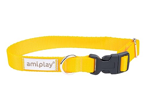 Amiplay Verstellbares Hundehalsband Samba - Robustes, Langlebiges Halsband für Kleine, Mittelgroße und Große Hunde, Stufenlos Verstellbar, Ideal für den Täglichen Spaziergang und Lange Wanderungen von Amiplay