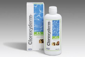 aniMedica Clorexyderm Shampoo 4% aniMedica Clorexyderm Shampoo 4% von aniMedica