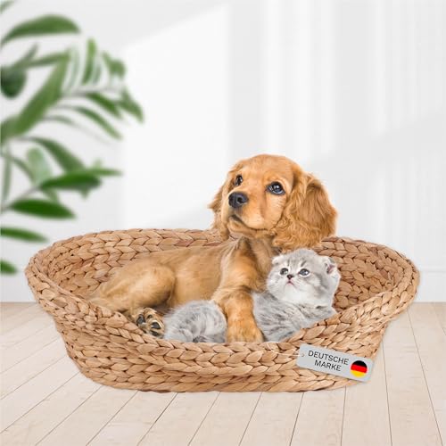 Lycce Katzenbett Hundebett für kleine Hunde | Kissen waschbar bei 30° | ovale Form mit hohem Rand | Wasserhyazinthe | Hundekörbchen Katzenkörbchen | Gr. 1 (53 x 40 x 14 cm) von Lycce