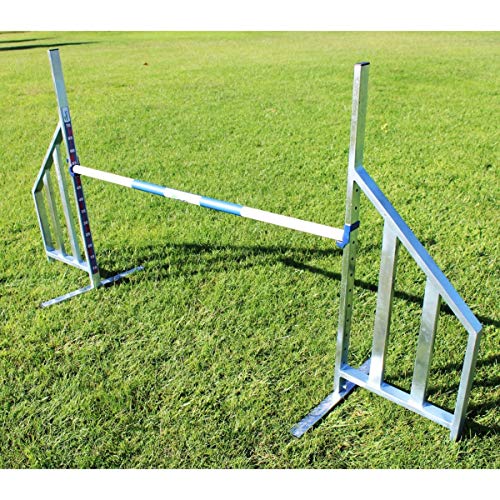 Animo Anfangskonzept: Hundetraining Hedge in verzinkter Red Steel 1 Einheit von animo concept
