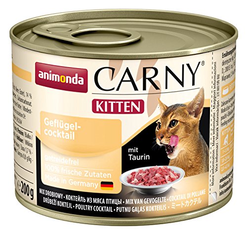 Animonda Carny Kitten Rind, Kalb plus Huhn , 12er Pack (12 x 200 g) von animonda