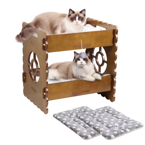 ankuliy Katzenbett aus Holz, erhöhtes Katzenbett, Etagenbett für 2 Indoor-Katzen, Holz-Katzenhaus mit Matratze, schützt das Hüftgelenk der Katze, alle Jahreszeiten, robust und langlebig (50 x 38,1 x von ankuliy