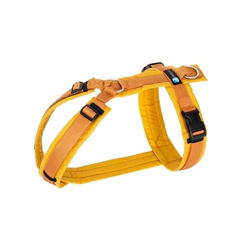 Anny·x Fun Hundegeschirr, Verstellbar, Größen XXS bis XL (Goldglöckchen, L) von anny-x