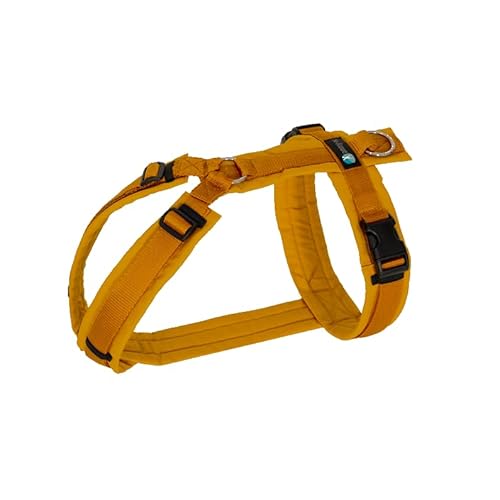Anny·x Fun Hundegeschirr, Verstellbar, Größen XXS bis XL (Goldglöckchen, XXS) von anny-x