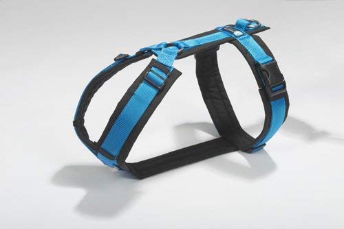 Brustgeschirr blau Gr. M Brustgeschirr blau Gr. M von anny-x