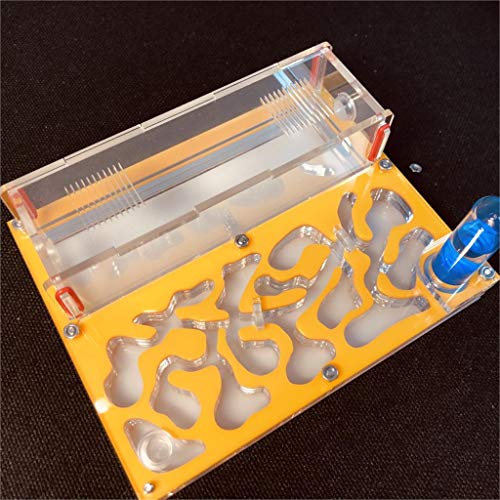Ant Farm Educational Formicarium für LIVE Ameisen Reagenzglas Feuchtigkeit großer Raum Acryl Ameisennest, Insektenameisen Villa House Ants Ecological Workshop (Gelb) von ANT GRAPE