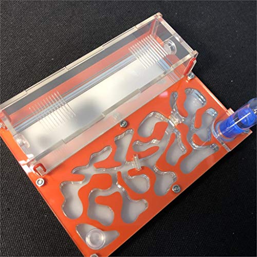 Ant Farm Educational Formicarium für LIVE Ameisen Reagenzglas Feuchtigkeit großer Raum Acryl Ameisennest, Insektenameisen Villa House Ants Ecological Workshop (Orange) von ANT GRAPE