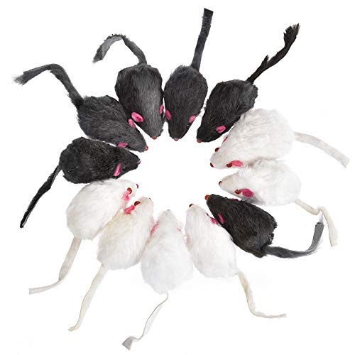 aoory Katzenspielzeug Set Maus 12 Stück Katzen Spielzeug Pack Für Kitty Simulationsmäuse Künstlicher Körper Und Flaum aoory Katzenspielzeug Set Maus 12 Stück Katzen Spielzeug Pack Für Kitty Simulationsmäuse Künstlicher Körper Und Flaum von aoory