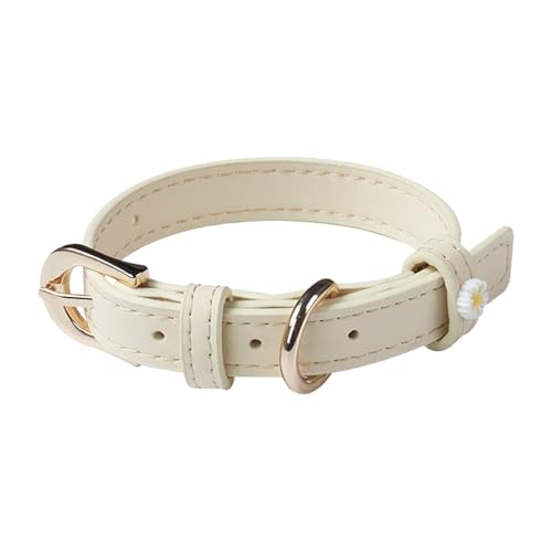 Aotusoa Verstellbar Tierhalsband aus Gepolstert PU-Leder & 5-Loch Schnalle mit Gänseblümchen Klassische Bequem Halsbänder für Hasutier Katzen Kleine Mittel Große Hunde Hundehalsband (Beige) von aotusoa