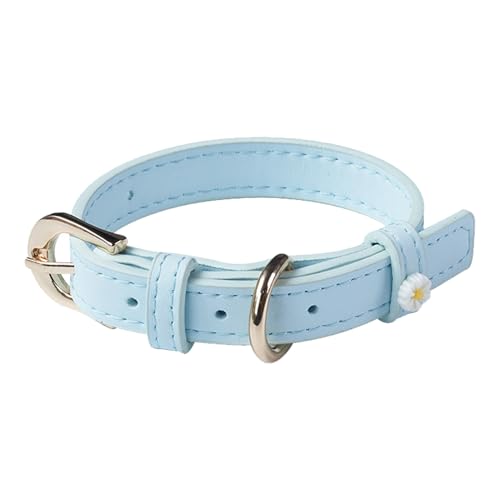 Aotusoa Verstellbar Tierhalsband aus Gepolstert PU-Leder & 5-Loch Schnalle mit Gänseblümchen Klassische Bequem Halsbänder für Hasutier Katzen Kleine Mittel Große Hunde Hundehalsband (Hellblau) von aotusoa