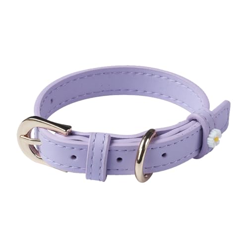 Aotusoa Verstellbar Tierhalsband aus Gepolstert PU-Leder & 5-Loch Schnalle mit Gänseblümchen Klassische Bequem Halsbänder für Hasutier Katzen Kleine Mittel Große Hunde Hundehalsband (Lila) von aotusoa