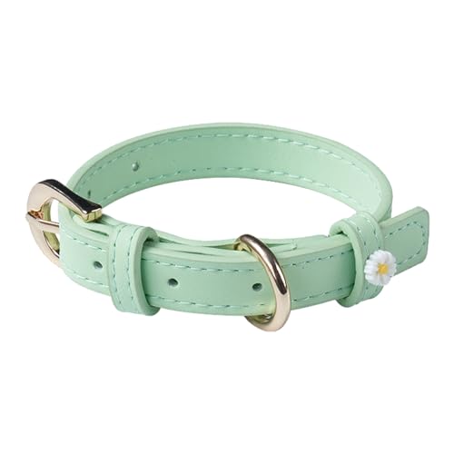 Aotusoa Verstellbar Tierhalsband aus Gepolstert PU-Leder & 5-Loch Schnalle mit Gänseblümchen Klassische Bequem Halsbänder für Hasutier Katzen Kleine Mittel Große Hunde Hundehalsband (Hellgrün) Aotusoa Verstellbar Tierhalsband aus Gepolstert PU-Leder & 5-Loch Schnalle mit Gänseblümchen Klassische Bequem Halsbänder für Hasutier Katzen Kleine Mittel Große Hunde Hundehalsband (Hellgrün) von aotusoa