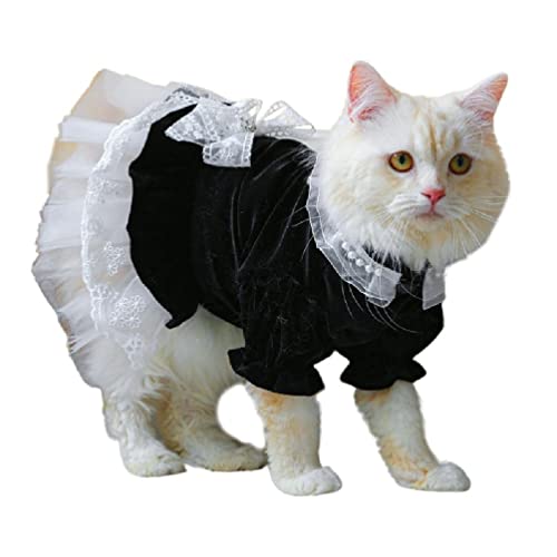 Katzen-Outfits nur für Katzen, Hundekleidung, Spitzen-Dekor, Kleid, Haustier-Kostüm, Sommerkleidung, Accessoire für Mädchen, Hunde, Katzen-Outfits, Kleid für Katzen, nur für Frauen, Mädchen, Katzen-Outfits nur für Katzen, Hundekleidung, Spitzen-Dekor, Kleid, Haustier-Kostüm, Sommerkleidung, Accessoire für Mädchen, Hunde, Katzen-Outfits, Kleid für Katzen, nur für Frauen, Mädchen, von apughize