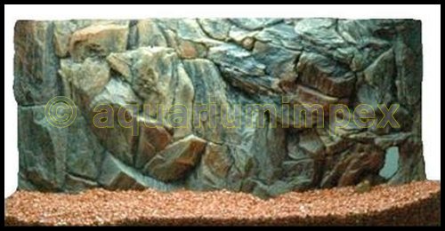 3D Aquarien Rückwand 60x30 Fels mit Wurzel von aquariumimpex