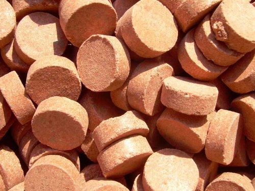 Futtertabletten Cichlid Haft Probiergröße 100 Stück, Fischfutter Futtertabletten Cichlid Haft Probiergröße 100 Stück, Fischfutter von aquariumpflanzen.net