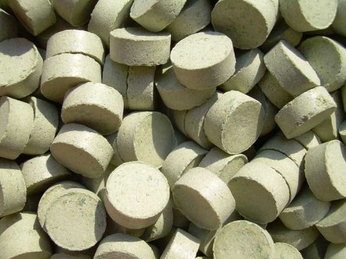 Futtertabletten Grün Haft Probiergröße 100 Stück, Fischfutter Futtertabletten Grün Haft Probiergröße 100 Stück, Fischfutter von aquariumpflanzen.net