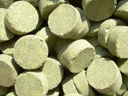 Futtertabletten Spirulina 10% Haft Probiergröße 100 Stück Futtertabletten Spirulina 10% Haft Probiergröße 100 Stück von aquariumpflanzen.net
