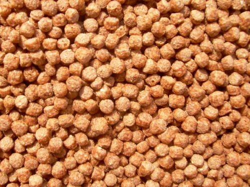 Koi Color Pellets mit Astaxanthin 2mm 3000ml, Fischfutter, Teichfutter Koi Color Pellets mit Astaxanthin 2mm 3000ml, Fischfutter, Teichfutter von aquariumpflanzen.net