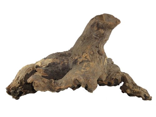 Savannenwurzel 20-30 cm, Dekoration für Aquarium und Terrarium Savannenwurzel 20-30 cm, Dekoration für Aquarium und Terrarium von aquariumpflanzen.net